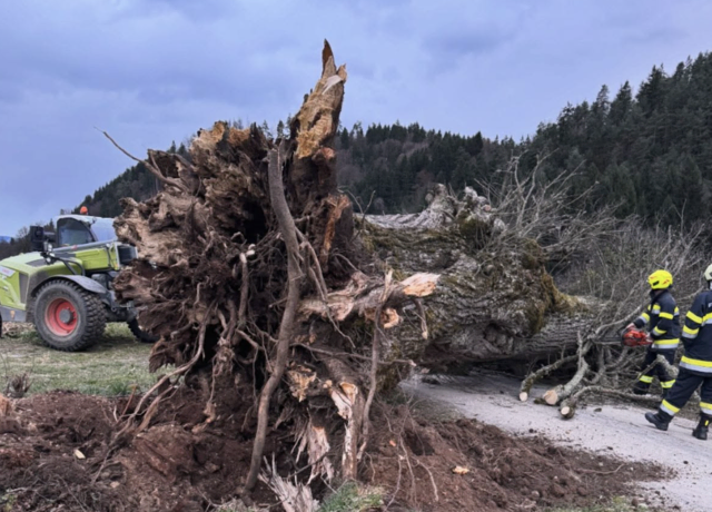 Heftiger Sturm wütete in Kärnten