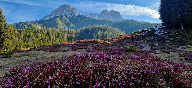 Das sind die schönsten 