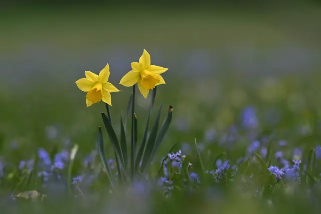 Ich wünsche euch allen eine schöne Osterwoche! 🐣🪺🌿 | Foto: Silvia Jörg