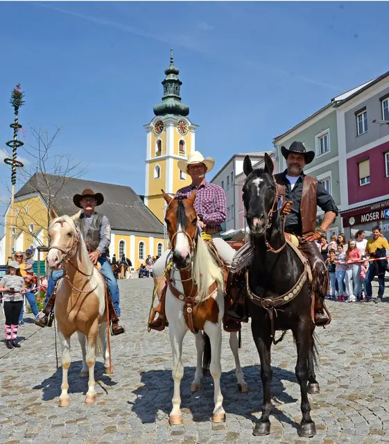 Heuer findet der traditionelle Pferdemarkt in Waizenkirchen bereits zum 31. Mal in gewohnter Atmosphäre statt. | Foto: Josef Pointinger