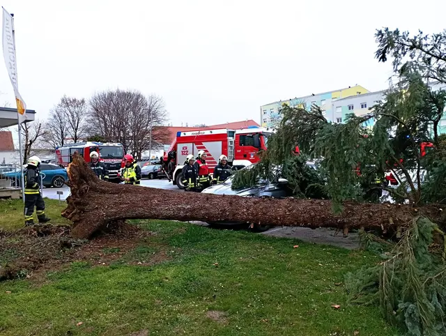 Foto: Stadtfeuerwehr Pinkafeld