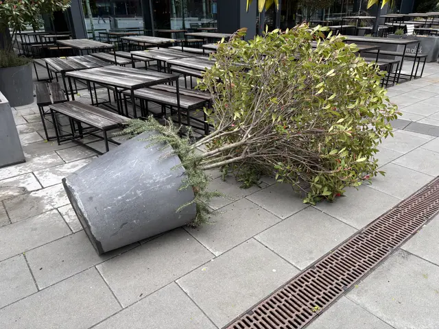 Starke Windböen machen sich am Freitag in der Stadt bemerkbar. | Foto: Johannes Reiterits/MeinBezirk