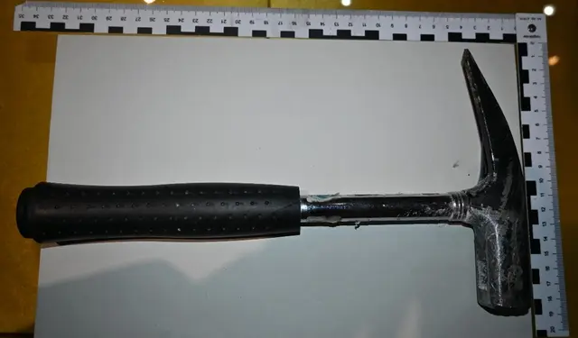 Anrainerin beobachtete Juwelier-Dieb am Neubau