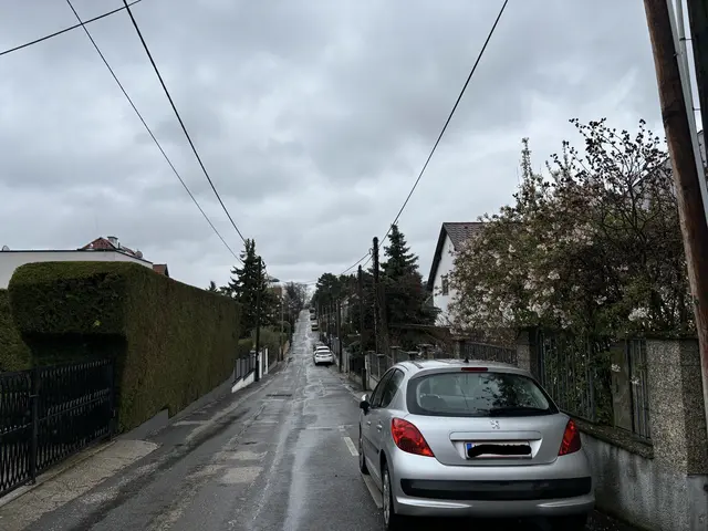 Zwar könne man es kritisch hinterfragen, dass das Gebiet nicht nachverdichtet wird. Aber der Schutz von Grünraum und Ortsbild überwiege. | Foto: zVg