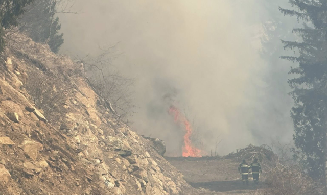 Im Oberen Mölltal ist ein Waldbrand ausgebrochen