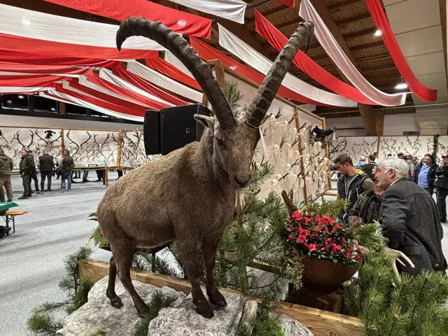 Im Rahmen der Trophäenschau in der WM-Halle Seefeld zog die Jägerschaft des Bezirkes Bilanz über das vergangene Jagdjahr. Im Mittelpunkt standen eine Abschussplanerfüllung von über 90 Prozent, die zunehmende Belastung der Wildtiere durch Freizeitnutzung, neue gesetzliche Regelungen – etwa beim Wolf – sowie die zunehmende Digitalisierung in der Jagd. | Foto: © Georg Larcher / MeinBezirk.at