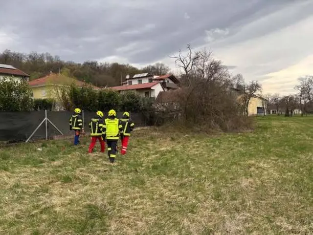 Im Zuge des Sturms war ein Baum auf einen Zaun gestürzt. | Foto: Feuerwehr Jabing