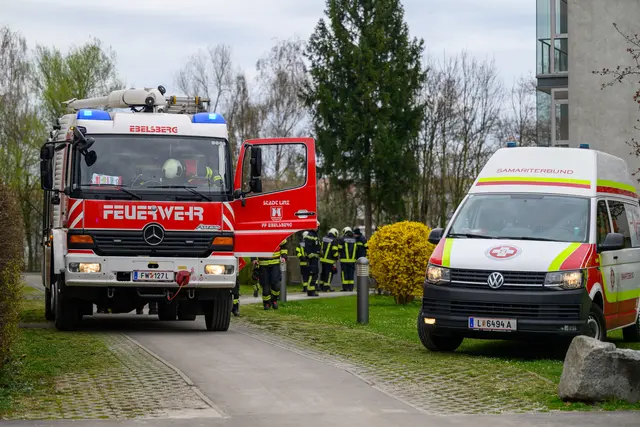 Foto: FOTOKERSCHI / WERNER KERSCHBAUMMAYR