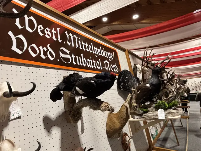 Die Trophäenschau zeigte einmal mehr die große Arbeit der Jägerschaft im Bezirk und die Bedeutung der Jagd für Natur, Wald und Kulturlandschaft. | Foto: © Georg Larcher / MeinBezirk.at