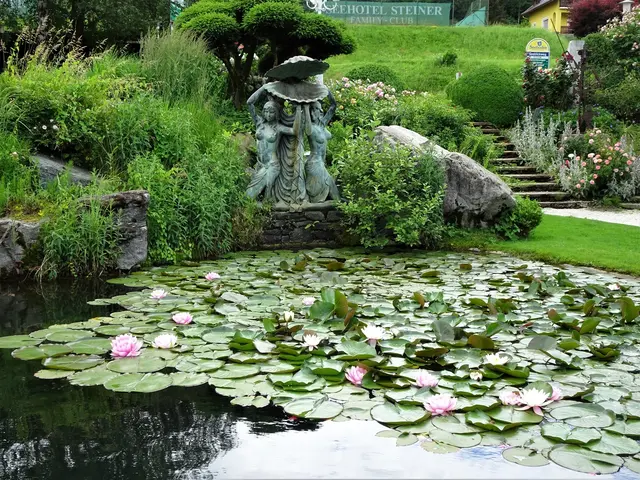 „Ich wurde mundtot gemacht“ – Gmünder erhebt schwere Vorwürfe gegen die Justiz