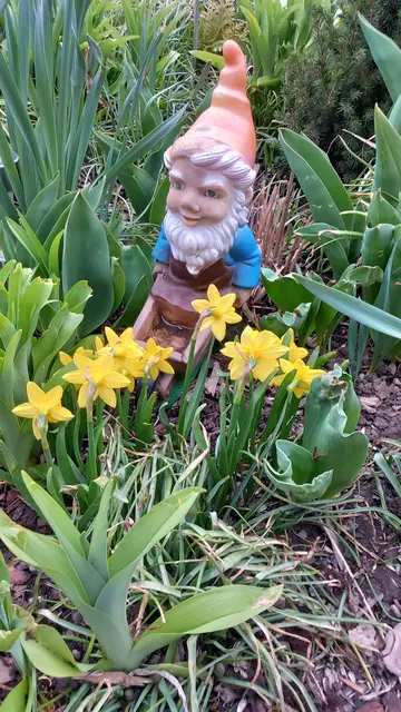 Frühlingsgrüße aus dem Waldviertel