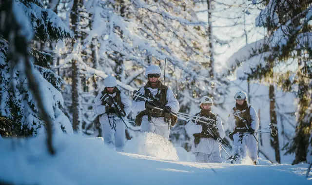 Auch Staatssekretär Josef Schellhorn (Neos) hat sich für eine Anpassung des Grundwehrdienstes nach dem Modell "Österreich plus" ausgesprochen. | Foto: Bundesheer/Daniel TRIPPOLT