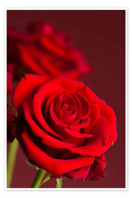 Meine echten St. Pöltnerinnen von damals...