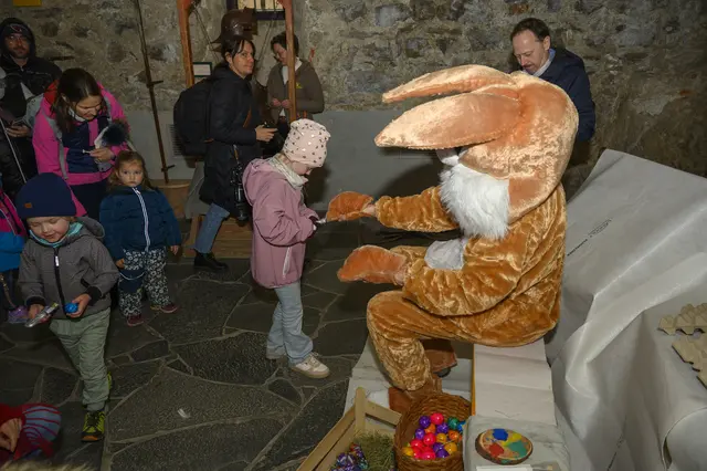 Foto: Peter Bolha