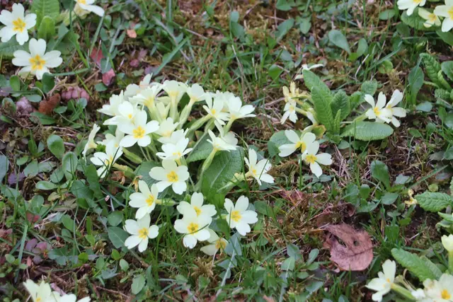 Foto: Edith Ertl