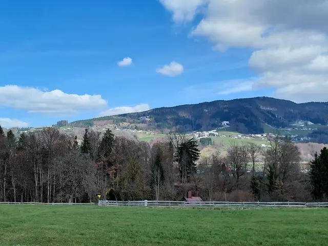 Blick auf den Mondseeberg | Foto: H.Bachinger