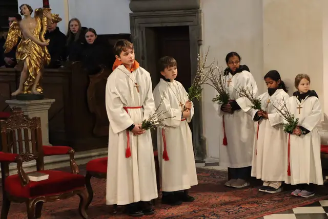Auch die Ministranten waren mit Palmbuschen ausgestattet | Foto: Gerhard Langmann