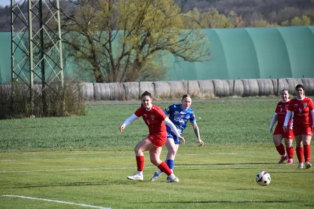 Foto: MeinBezirk/Michael Strini