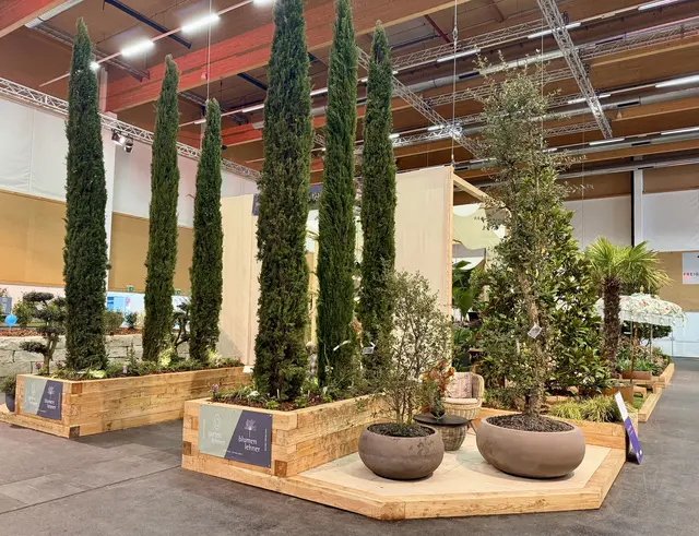 Blumen Lehner - „Oscar“ prämierter Stand. „Blühendes Österreich 2026“ - Wels