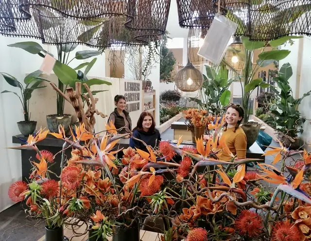 Blühendes Österreich 2026 - Wels -  Gartendeko