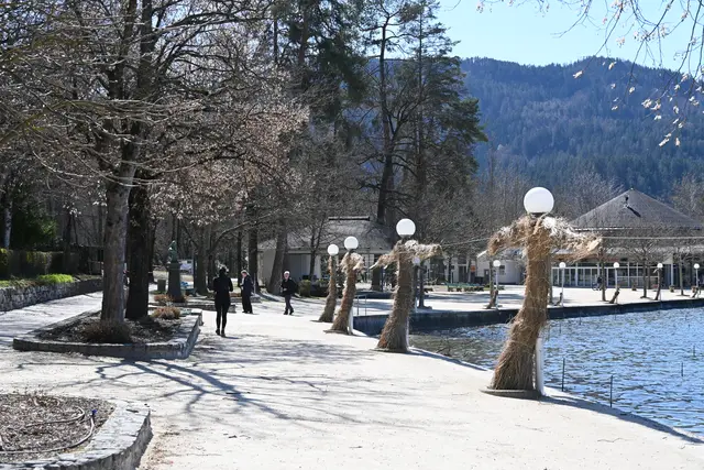 Nach einigem Rätseln: das Stroh ist Winterschutz für Kletterrosen darunter