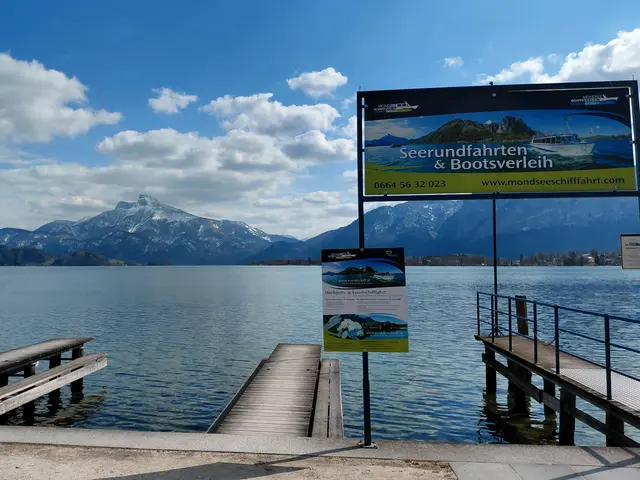 Blick auf den Schafberg  | Foto: H.Bachinger