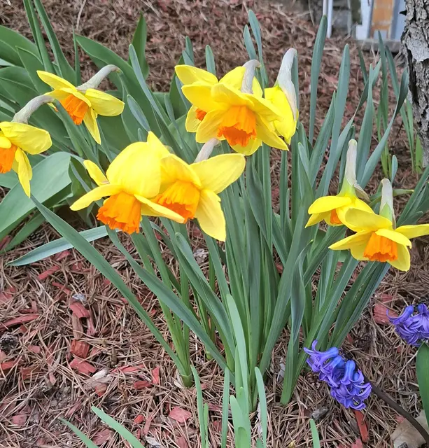 Buntgemischtes aus Althofen