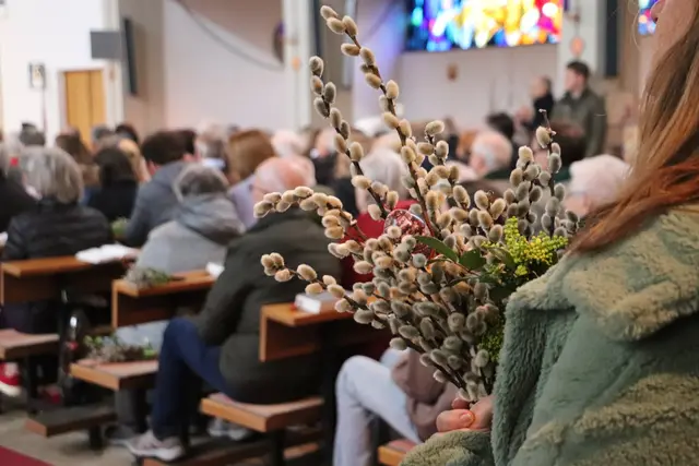 Palmkätzchen läuten die Karwoche ein