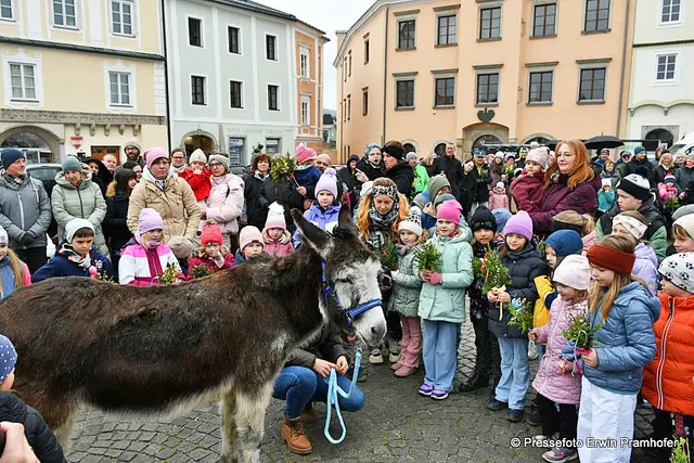 Erstmals Esel und Pony dabei
