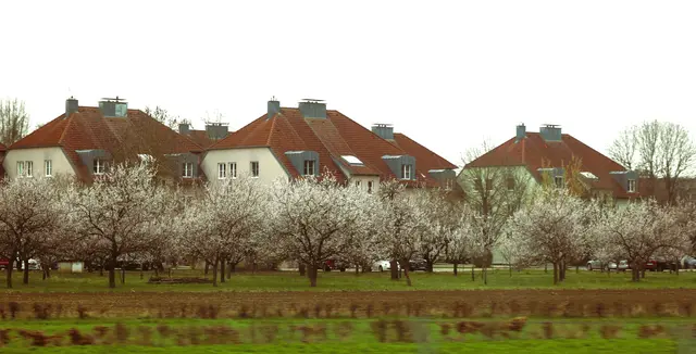 Blütenpracht zu Ostern