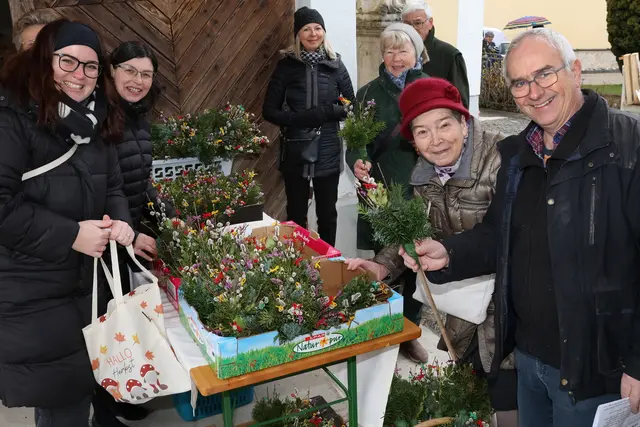 Palmkätzchen läuten die Karwoche ein