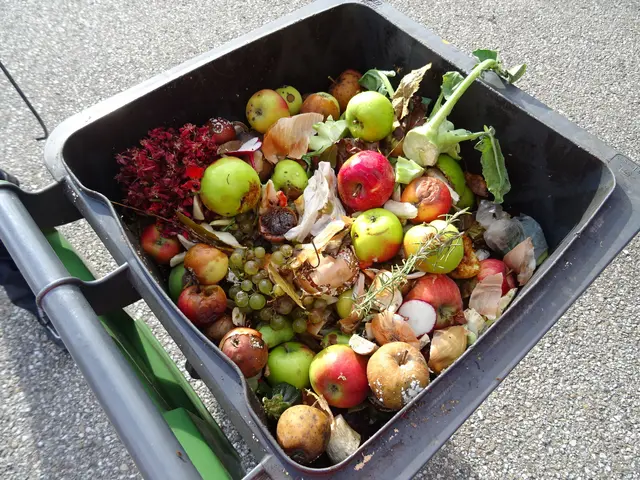 Regelmäßig landen vermeintlich kompostierbare Plastiksackerl im Biomüll. Diese zersetzen sich allerdings zu langsam und sind für die Kompostierung ein Störstoff.  | Foto: BAV Ried