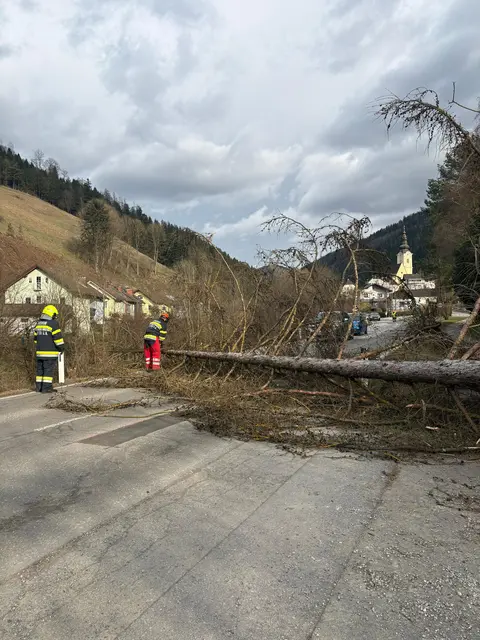 Umgestürzte Bäume blockierten die Landesstraße