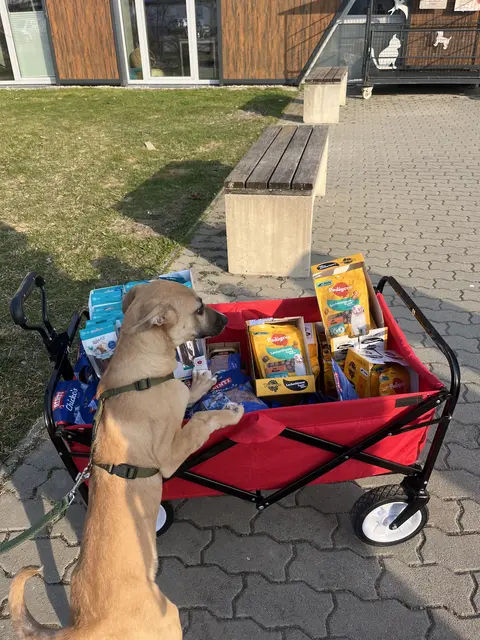 Auch ein Goodiebag durfte nicht fehlen.  | Foto: BV9