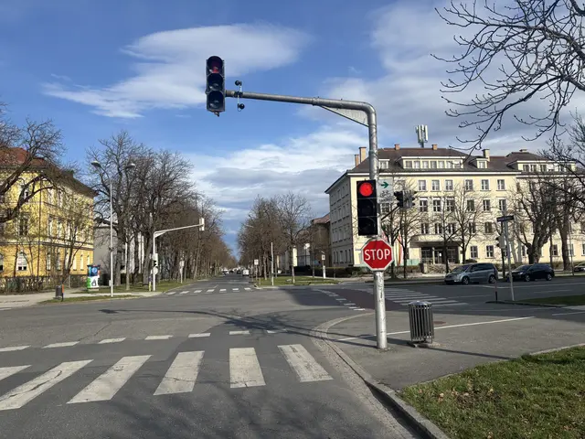 Die Ampelschaltungen wurde an einzelnen Kreuzungen bereits optimiert. | Foto: MeinBezirk.at/Christina Zwander