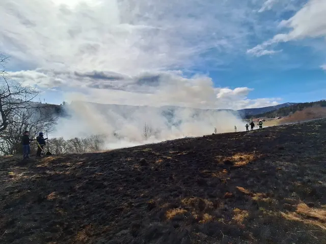Ein Wiesenbrand hielt die Feuerwehren im Einsatz. | Foto: Feuerwehren Neumarkt