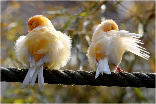 .... auf Gut Aiderbichl 