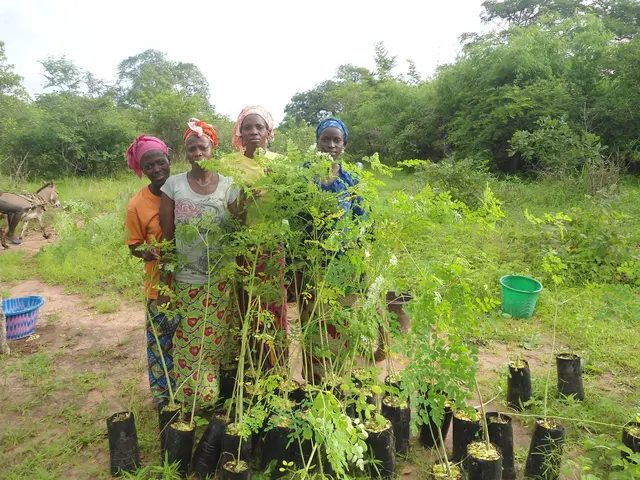 Caritas-Geschenke helfen weltweit Familien in Not