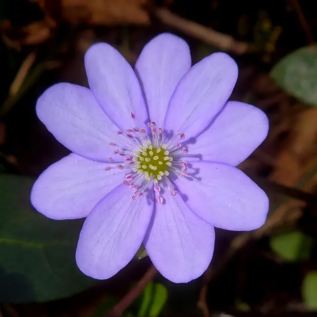 Jeder Augenblick ist so schön, wie man ihn sieht | Foto: Margarete Czerwinski