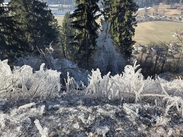 Foto: FF Reintal