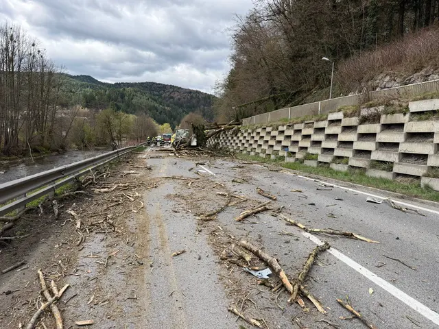 Über mehr als 100 Meter lagen die Baumteile verstreut auf der Fahrbahn. | Foto: FF Krems