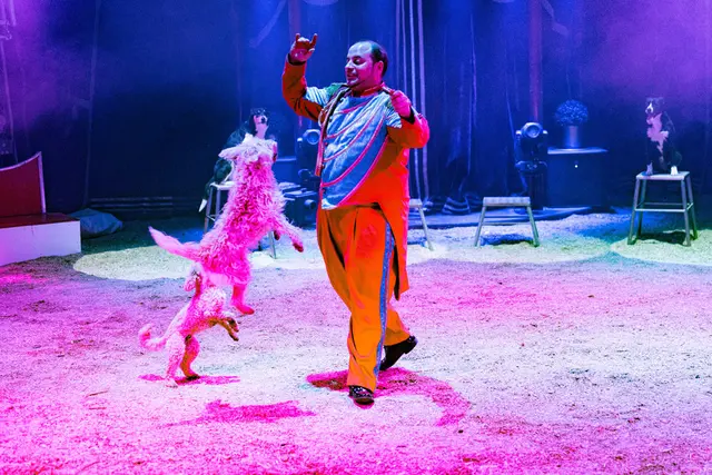 Foto: Circus Frankello