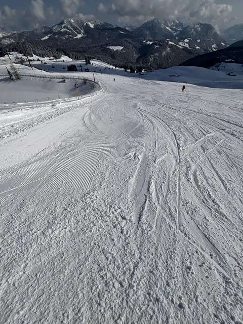 Foto: Klaus Kogler