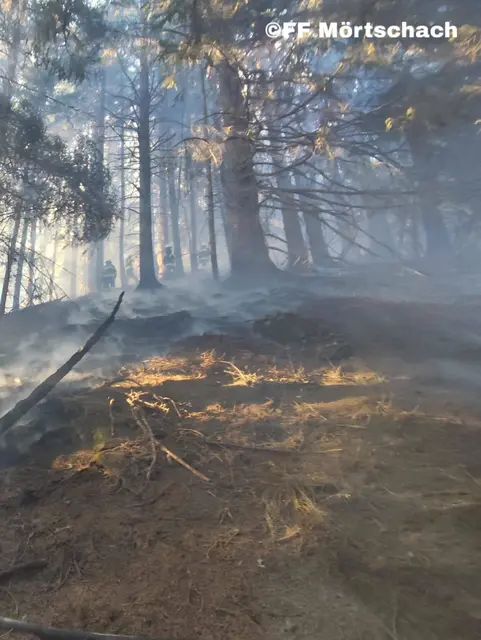 Foto: Feuerwehr Mörtschach