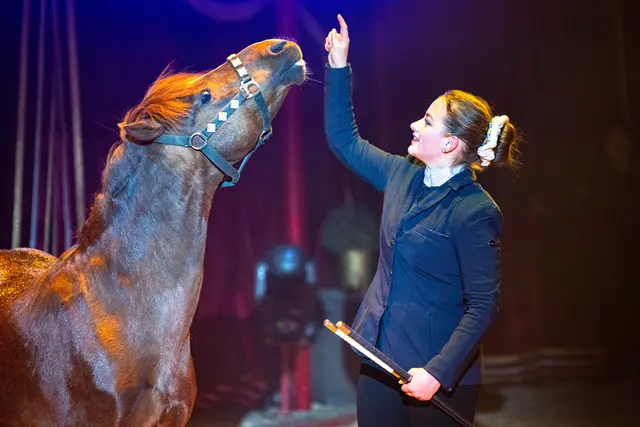 Foto: Circus Frankello