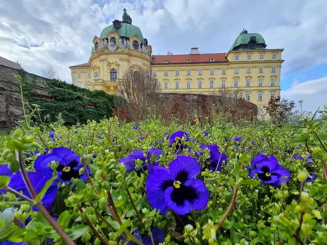 Blumenperspektive | Foto: Sabine Mayer