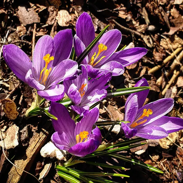 Es ist egal, wer dich verletzt hat. Es zählt nur,
wer dich wieder zum Lächeln bringt
Foto: Glaser 
