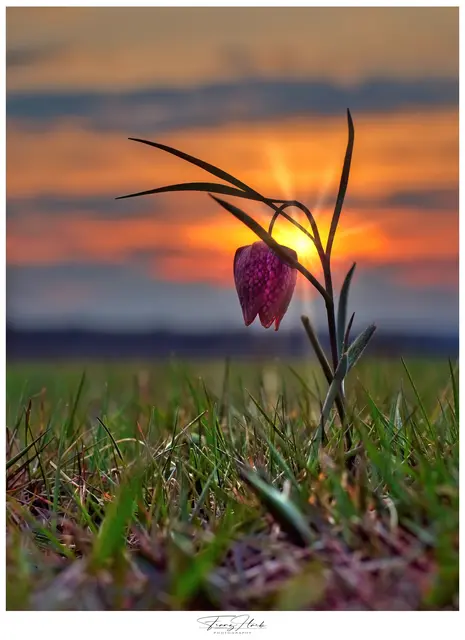 Die besten Regionauten-Schnappschüsse im März 2026