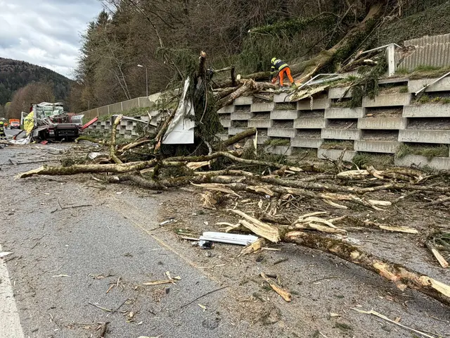 Umstürzende Bäume richteten auf der Umfahrungsstraße massive Schäden an. | Foto: FF Krems