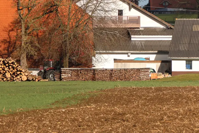 Nach rund einer halben Stunde war der Einsatz beendet. | Foto: laumat/Matthias Lauber